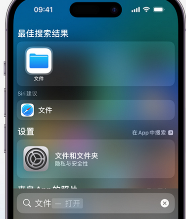 元谋apple维修中心分享iPhone文件应用中存储和找到下载文件 