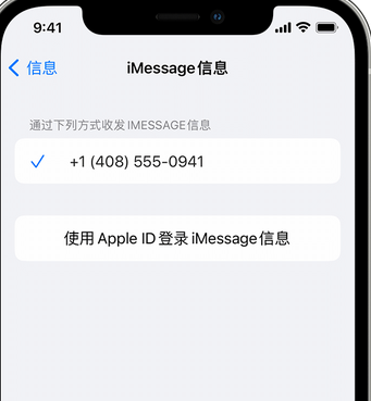 元谋apple维修iPhone上无法正常发送iMessage信息 