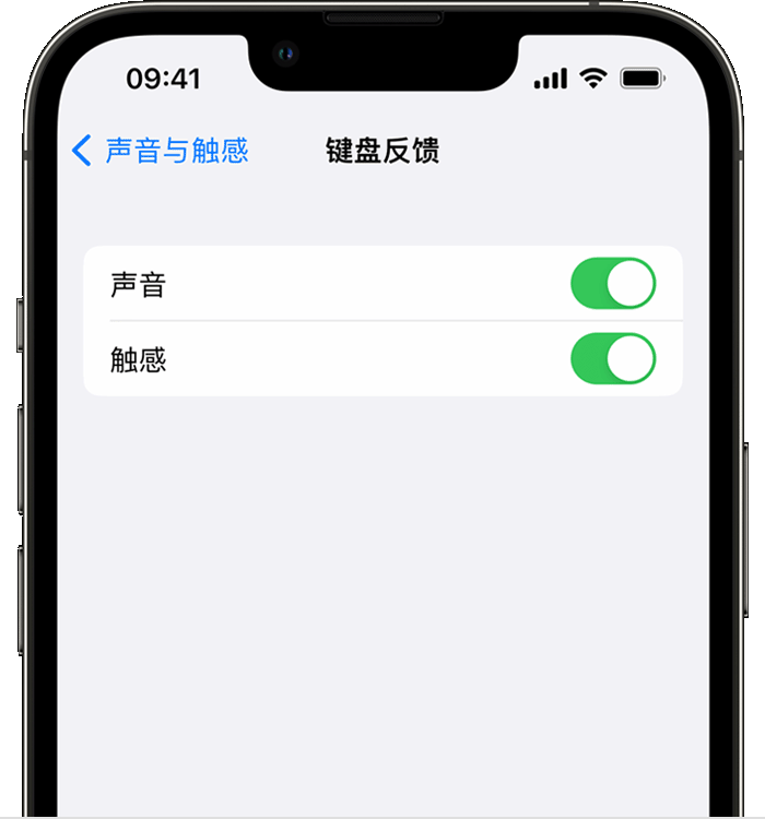 元谋苹果14维修店分享如何在 iPhone 14 机型中使用触感键盘 