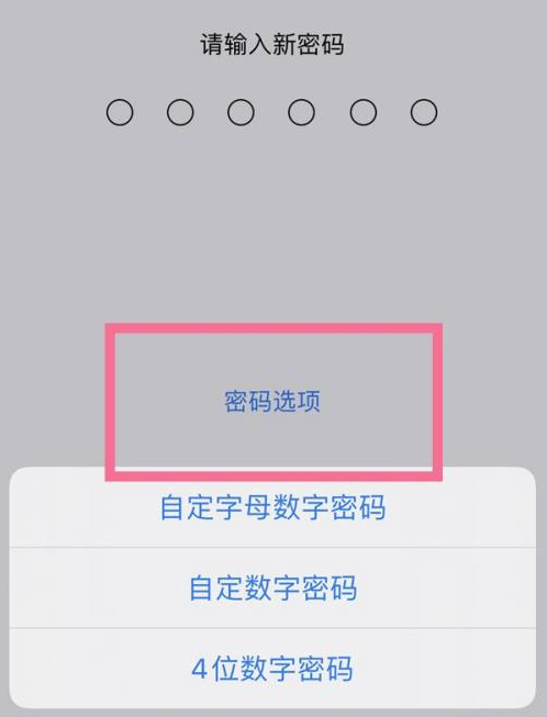 元谋苹果14维修分享iPhone 14plus设置密码的方法 