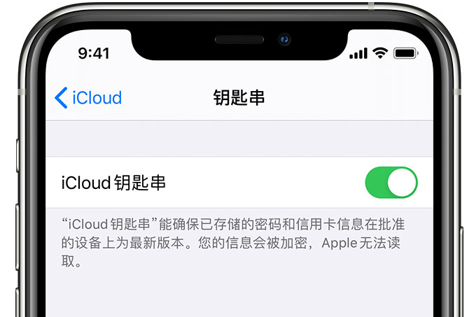 元谋苹果手机维修分享在 iPhone 上开启 iCloud 钥匙串之后会储存哪些信息 